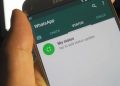 ¿Sabes con quién interactúa más en Whatsapp tu pareja o amigos?