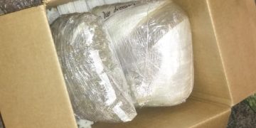 Aseguran cerca de 6 kg de marihuana y cristal en Aeropuerto de SLP