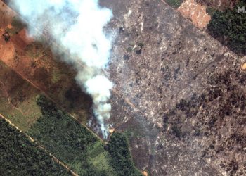 A 20 días que llevan incendios en Amazonía, Bolsonaro analiza si enviará al Ejército para extinguirlos