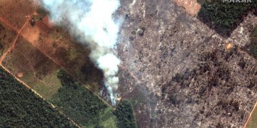 A 20 días que llevan incendios en Amazonía, Bolsonaro analiza si enviará al Ejército para extinguirlos