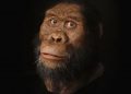 #VIDEO Así se vería un ancestro humano de 3,8 millones de años
