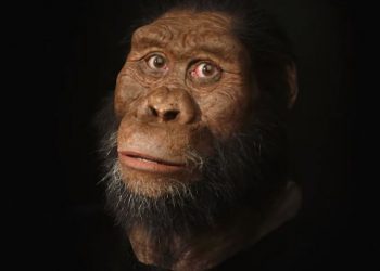 #VIDEO Así se vería un ancestro humano de 3,8 millones de años