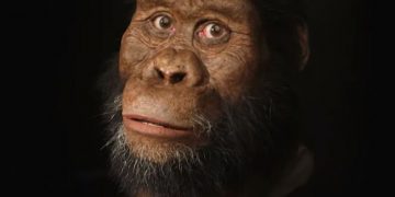 #VIDEO Así se vería un ancestro humano de 3,8 millones de años