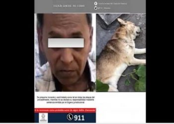 Prisión preventiva a asesino del perro “Viejito Lindo” en Veracruz