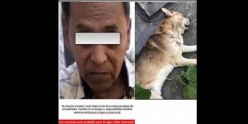 Prisión preventiva a asesino del perro “Viejito Lindo” en Veracruz