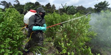 Colombia se rebela y desafía la política antidrogas de Trump