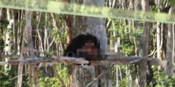 Ejecutan a una chica de 18 años por entregar al ‘Pantera’