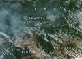 ¡Desastre ecológico! el pulmón del planeta, la Amazonia esta ardiendo