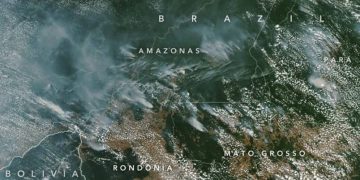 ¡Desastre ecológico! el pulmón del planeta, la Amazonia esta ardiendo