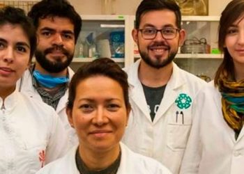 Investigación vence al virus del papiloma humano: IPN
