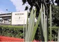 Abren al público zona arqueológica de Mixcoac en CDMX, tras 100 años de trabajos