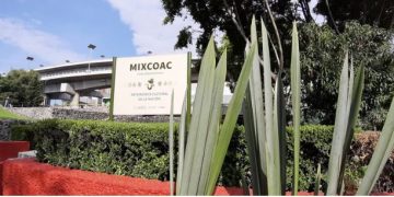 Abren al público zona arqueológica de Mixcoac en CDMX, tras 100 años de trabajos