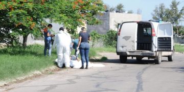 No fue violencia de género caso de mujer muerta con sapos en Sinaloa