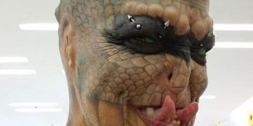 ¡Impactante! Historia del  banquero que dejó todo para convertirse en un reptil