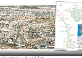 Remataron áreas naturales en 127 mil pesos durante gestión de Robles en Sedatu