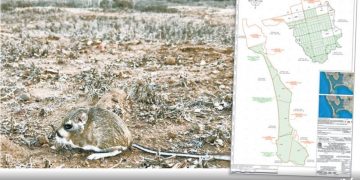 Remataron áreas naturales en 127 mil pesos durante gestión de Robles en Sedatu
