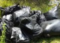 Por descuartizar a cuatro personas vivas en Veracruz, investigan a policías