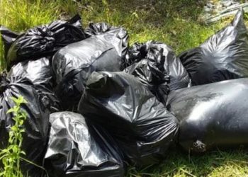 Por descuartizar a cuatro personas vivas en Veracruz, investigan a policías