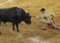 Si fuera por consulta se prohibirían las corridas de toros; 59% dice estar a favor de prohibirlas
