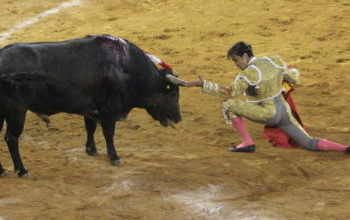 Si fuera por consulta se prohibirían las corridas de toros; 59% dice estar a favor de prohibirlas
