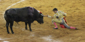 Si fuera por consulta se prohibirían las corridas de toros; 59% dice estar a favor de prohibirlas