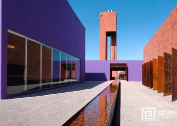 Exposición “Superhéroes de la naturaleza” llega a su fin el domingo 29 de septiembre en el Laberinto