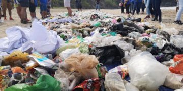 Es indispensable reciclar el unicel para apoyar al medio ambiente