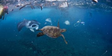 Arrojan a mares y océanos hasta 12 millones de toneladas de basura al año