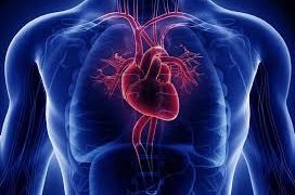 Estrategia para reducir la mortalidad cardiovascular