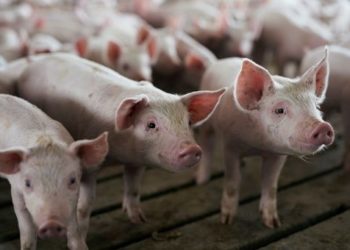 China quita aranceles a productos como soya y carne a EE.UU.