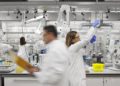 Inmunoterapia como estrategia para combatir el cáncer