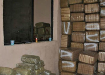 3.5 toneladas de mariguana son decomisadas en Tepito