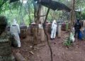 Cuatro narcolaboratorios son asegurados por la Marina en Culiacán, Sinaloa