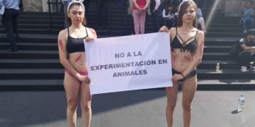 Protestan contra pruebas cosméticas en animales en el Congreso de CDMX