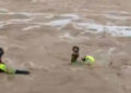#VIDEO Rescate de hombre y su perrito en río de NL