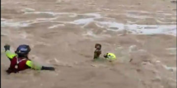#VIDEO Rescate de hombre y su perrito en río de NL