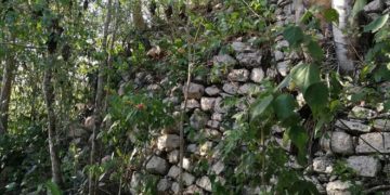 Descubren restos de ciudad maya en X’baatún, Mérida, Yucatán