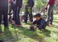 Realizan reforestación y otras iniciativas para cuidar el medio ambiente en SLP