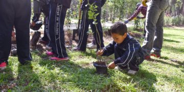 Realizan reforestación y otras iniciativas para cuidar el medio ambiente en SLP
