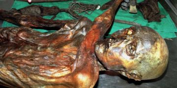 Restos de musgo revelan el recorrido final de Ötzi