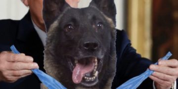 Trump atenderá a ‘héroe canino’ en la Casa Blanca