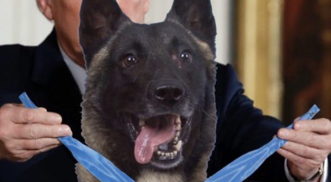 Trump atenderá a ‘héroe canino’ en la Casa Blanca