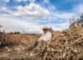 ¡Interesante exposición sobre la lucha alimenticia!