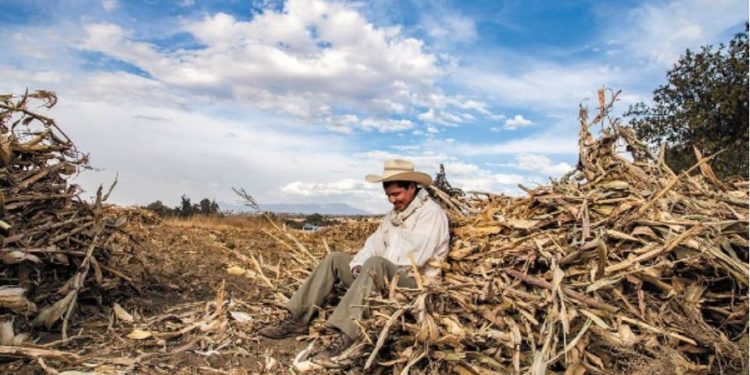 ¡Interesante exposición sobre la lucha alimenticia!