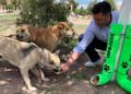 Fortalecen la campaña: “adopta a un amigo”