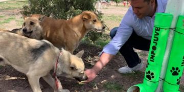 Fortalecen la campaña: “adopta a un amigo”
