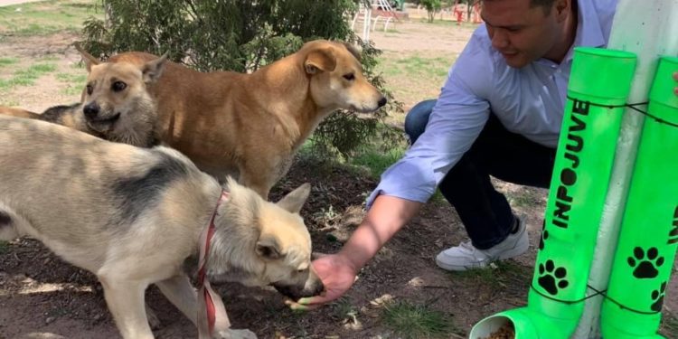 Fortalecen la campaña: “adopta a un amigo”