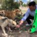 Fortalecen la campaña: “adopta a un amigo”