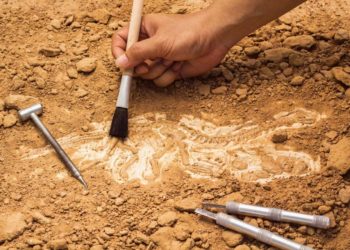 Invitan a la conferencia sobre arqueología en SLP