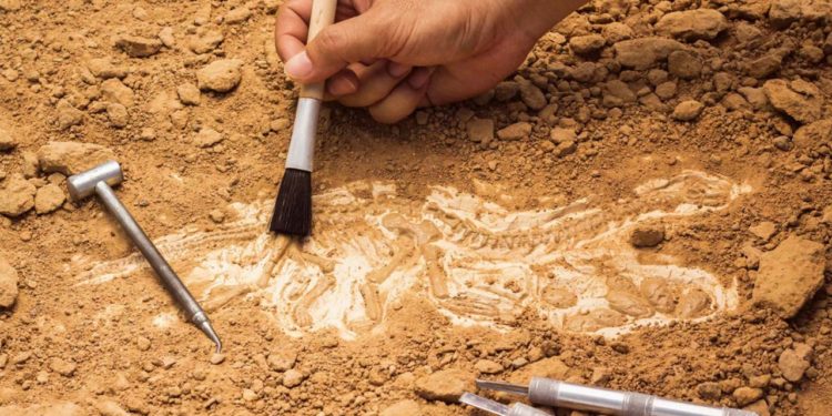 Invitan a la conferencia sobre arqueología en SLP